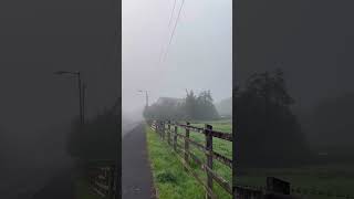 🌫️😶‍🌫️🍃💚#mistymorning