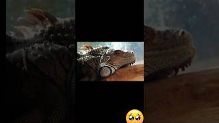 💥❤️Evolution of Superhero Animals Transformation#shorts|#viral|#trending|#riyaraut23💥❤️