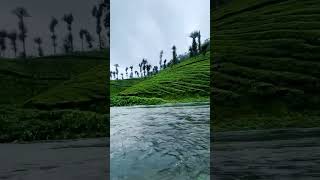 country 🌿⚜️ #motivation #sad #love #quotes #motivationalquotes #nature #kerala #lifequotes