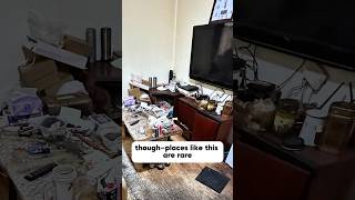 Terrified of Roaches? 🪳 Watch at your own risk ⚠️ #cleaning  #housecleaning #satisfying #house