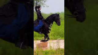 The Journey of Dreams: #inspiration  #horseriding #horselover #viralvideo #entertainment #trending