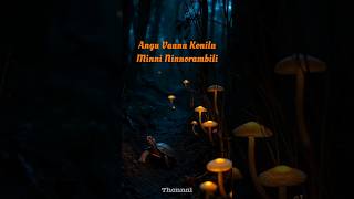 Angu Vaana Konilu ARM Song Lyrics | Ringtone | Karoke | Vana | English Lyrics | Konulu | Malayalam