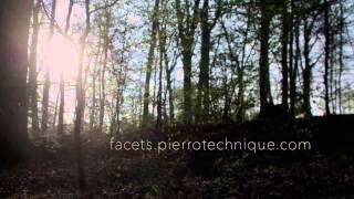 Pierre Massé - I Will Catch Stars for You