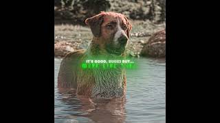 "Buck is Smart!" - Call of the Wild Edit | Камин - EMIN & JONY (slowed & reverb)