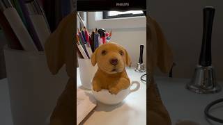 Making my remote work mornings feel a little extra special #RemoteWork #MorningRoutine #DailyVlog