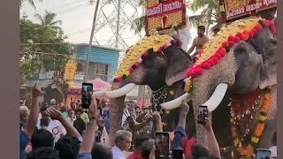 പുതുപ്പള്ളി കേശവനു മുന്നിൽ നിലവ് വിടാതെ കാളി മതിക്കുന്ന് വേലയിൽ ചിറക്കൽ കാളിദാസൻ പുതുപ്പള്ളി കേശവൻ