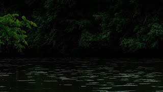 Forest River Thunderstorm | Deep Forgotten Waters | Calm Before the Storm | 3 HOURS