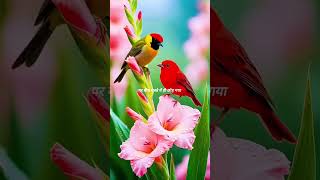 #motivationalvideoinhindi