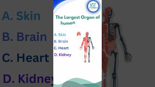 ssc exam important question and answer 🔥🔥|| #ssc #shortsfeed