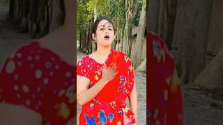#dancesong #comedy #folkgaan #partymusic #song #shaplasorkar #funny #dancemusic #unfrezzmyaccount