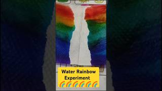🌈 Walking Water Rainbow Experiment 🌈 #shorts #funwithscience