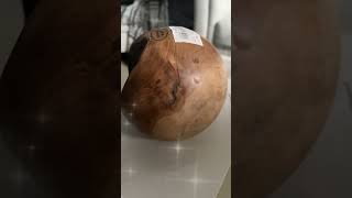 WATCH NOW!! NEW SPRING HOME DECOR FINDS!! #SHORTS