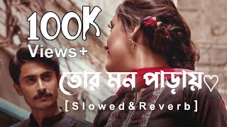 Tor Mon Paray Lofi | (Slowed + Reverb) | Mahdi Sultan | তোর মন পাড়ায় | Copy Music |_2023_♡︎🦋