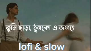 সব ছেড়ে আমিও চলে যাবো |Sob Chere Ami O Chole Jabo |Tanveer Evan | Lyrics Song |
