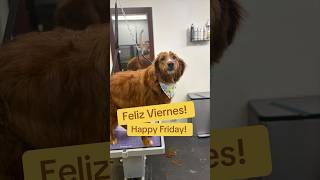 Happy Weekend! 🐶🙌