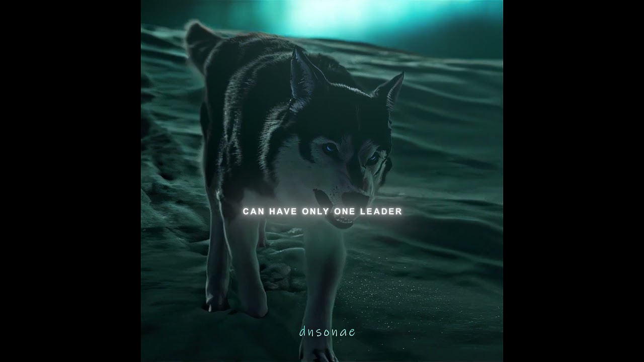 サムネ