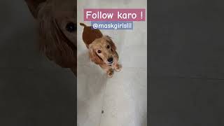 Follow Karo #follow #karo #followkaro