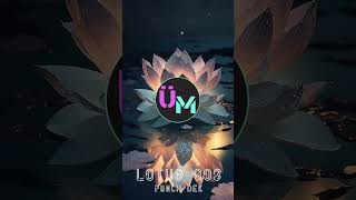 Punch Dek - Lotus 808 | Unlimited Music | No Copyright Sounds #shorts #unlimitedmusic