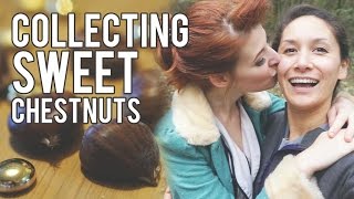 Collecting Sweet Chestnuts