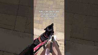 #blind #guidedog #visuallyimpaired #guidedogsfortheblind #guidedogs