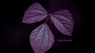 simple edit💙 #shorts #msgrapher