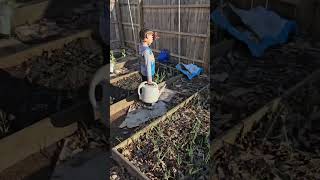 Kids Take Lead in Vibrant Garden #kidsinthegarden #garden