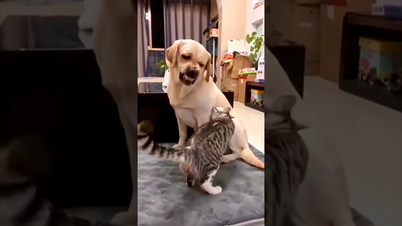 サムネ