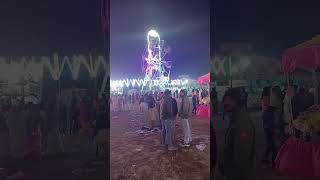 5 January 2024
