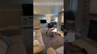 にゃんこ大戦争の確率はほぼこれ #にゃんこ大戦争 #確率