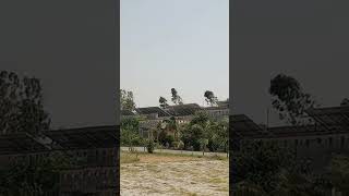 महामाया आई टी पॉलीटेक्निक #uppolytechnic #campas #shortfeed