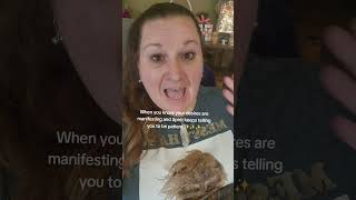 I just wanna know!! #shorts #spiritualcomedy #spiritualteacher4u #spiritualelevation