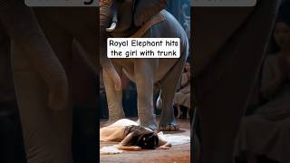 Paint Animals Mammoths and Elephants Size Comparison Fountain Crossing Animal Game Transformation