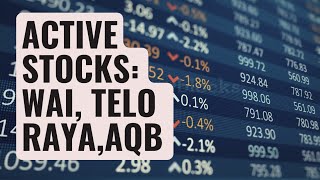 $WAI, $TELO, $RAYA & $AQB - Active Stocks