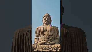 #namobuddhay #love #lordbuddha #song #peace #motivation