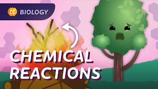Chemical Reactions in Biology: Crash Course Biology #26