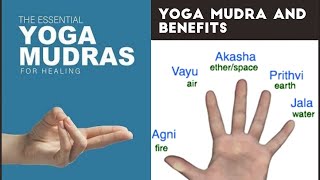 Essential Yoga Mudras | Part -1 | योग मुद्रा