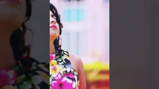 Bubli Bubli Bubli Amar Sona Babli re bossgiri song Shakib Khan