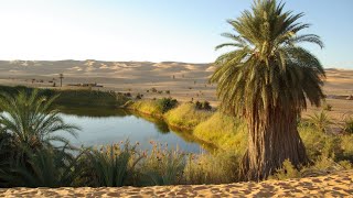 Follow the Sun Jazz with Traditional African Flare / 10 Hours / #smoothjazz #coffeeshopmusic #chill