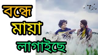 বন্দে মায়া লাগাইছে পিরিতি শিখাইছে😇||bondemayalagaisecover