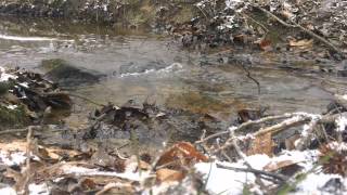 Snowy Creek  "Sleep Sounds" Relaxing Water Sounds and Noise