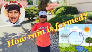 Learn all about the water cycle