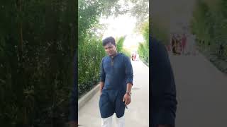 Food Forest, kendurbag, begomgonj, Noakhali
