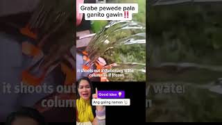 Nice trick #ideas #tricks #tips #tipsandtricks #shorts #youtubeshorts #shortvideo