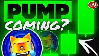 MOG COIN Crypto Price Prediction | MOG Coin Pump Incoming?!