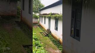 മഴ #rainyday #coolweather #nature #aesthetic #rainsounds #soothingrelaxation #love #peace #kerala