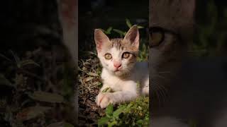 before / After editing #shorts #trending #msgrapher