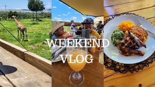Weekend Vlog: A few snippets from my weekend | Rhino and Lion Park | Cook with me⭐️