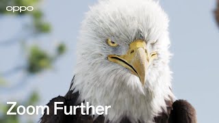 OPPO Find X8 Series | Eagle-Eyed Zoom