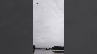 #song #newsong #bangali_song_status #rongiladewra #music #love