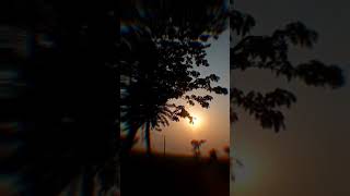 Saiyaara  tu saiyaara|| Whatsapp status||Full screen||#shorts #nature